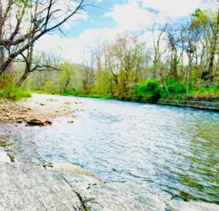 newfound lodge on the river