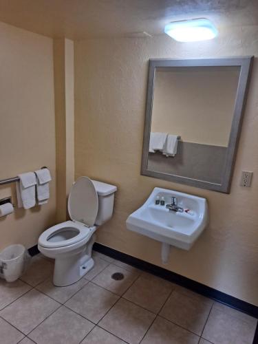 university inn gainesville
