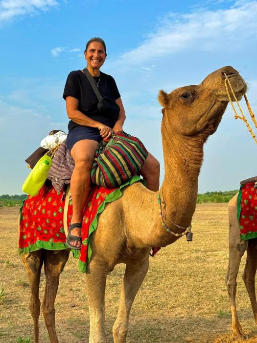 hotel darsh safari fort view