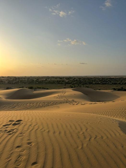 hotel darsh safari fort view