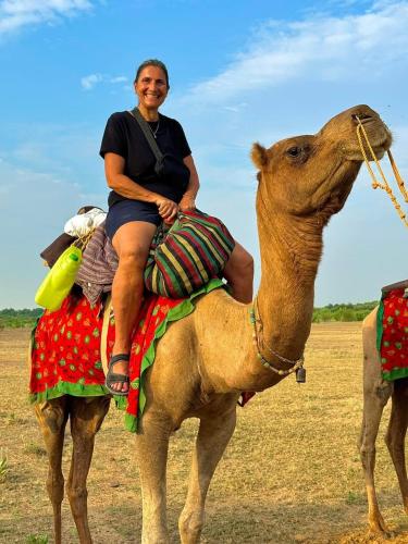 hotel darsh safari fort view