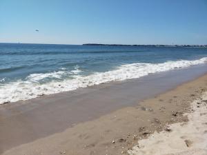 adonis cottage la baule