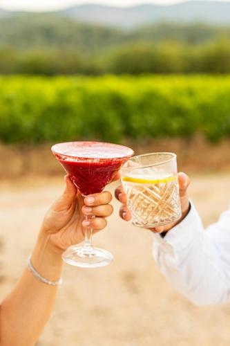 le prieure chateau la martinette