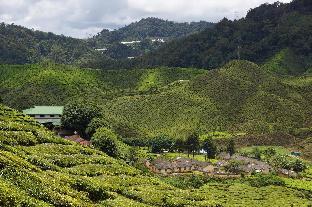 heaven mountain hill hotel 1 cameron highlands
