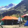 buddy hikers stay badrinath