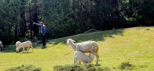 the batot old britishers route