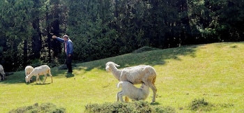 the batot old britishers route