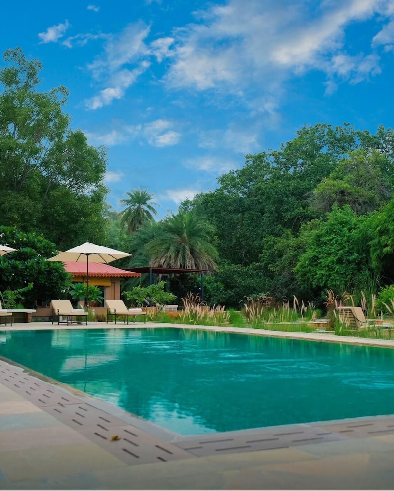 aloof the jungle lodge ghanerao