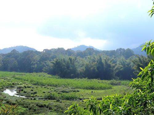 Safariya Forest Inn,,2 star