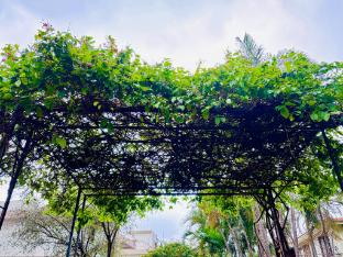 baileys castle villa