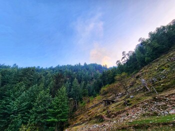 green sanctuary farmstay sainj