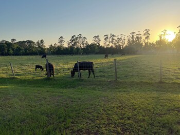 winter haven