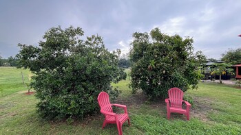 winter haven