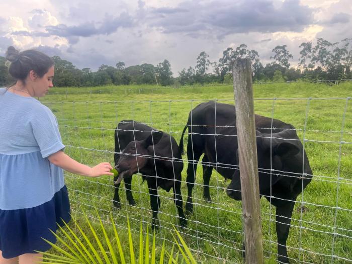blockhaven near legoland and disney