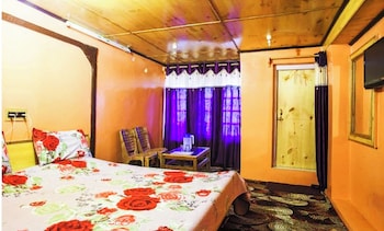 hotel new green view1 srinagar