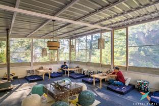 zostel homes tirthan gushaini