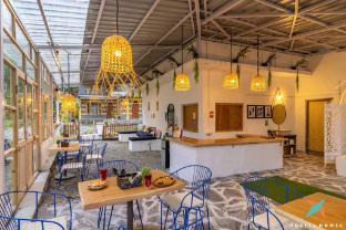 zostel homes tirthan gushaini