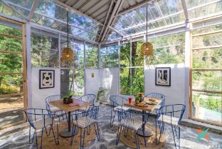 zostel homes tirthan gushaini