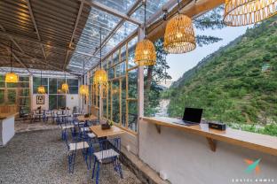 zostel homes tirthan gushaini