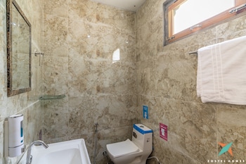 zostel homes tirthan gushaini