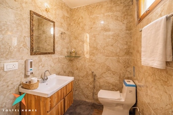 zostel homes tirthan gushaini