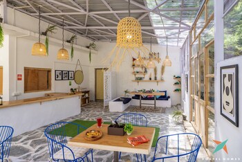 zostel homes tirthan gushaini