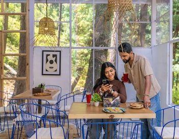 zostel homes tirthan gushaini