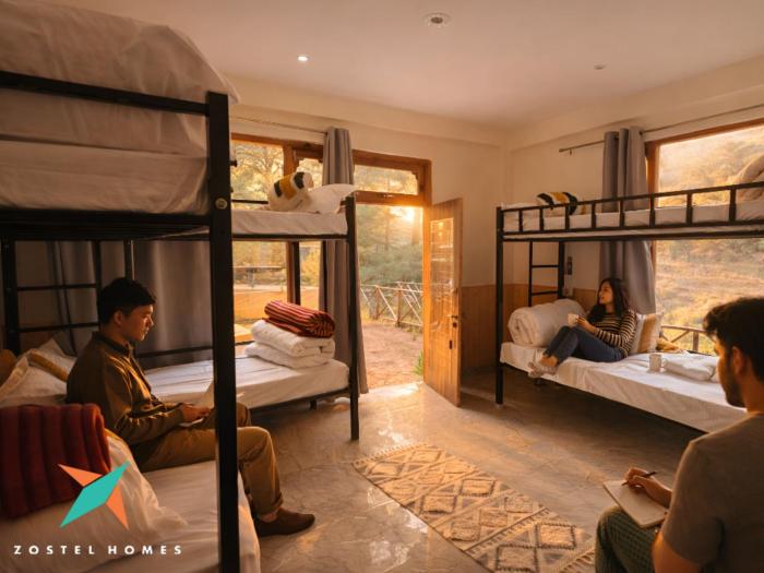 zostel homes tirthan gushaini
