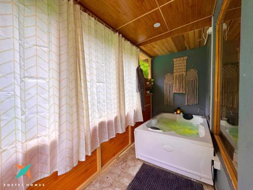 zostel homes tirthan gushaini