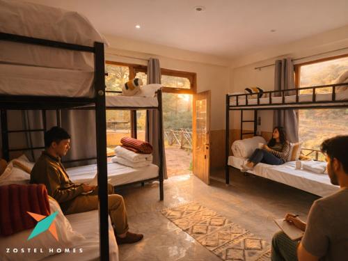zostel homes tirthan gushaini