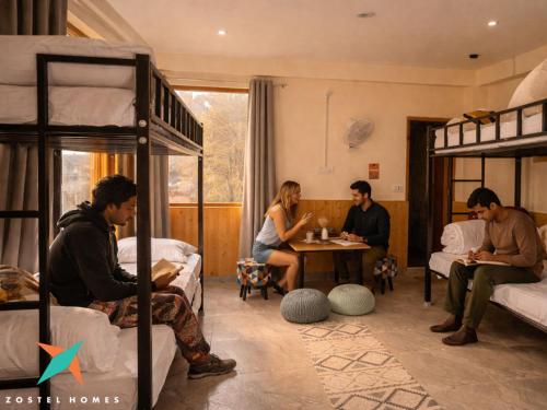zostel homes tirthan gushaini