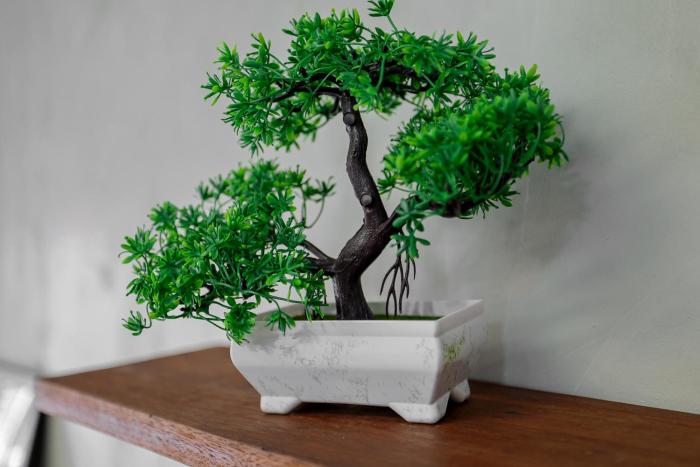 siam breeze inn by spi