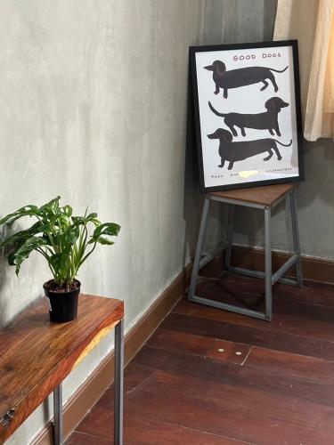 siam breeze inn by spi