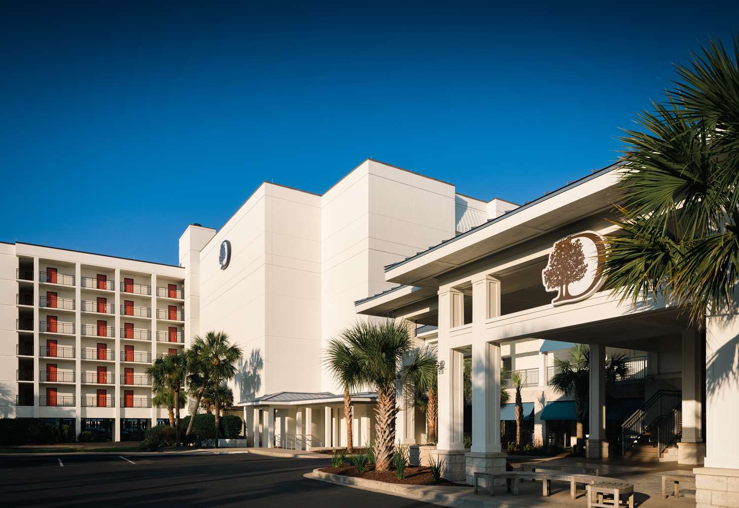 doubletree resort by hilton myrtle beach oceanfront