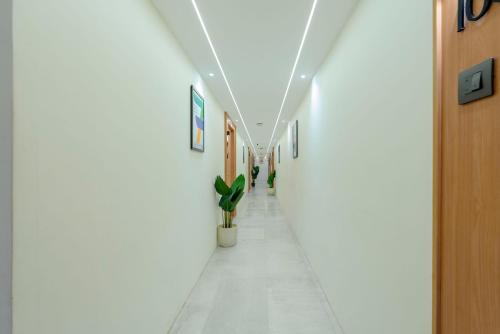 treebo premium taara