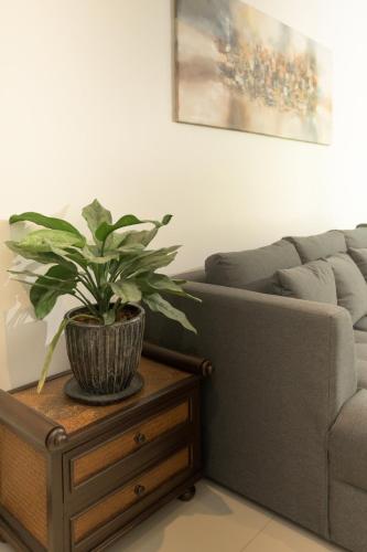 green garden villa hotel