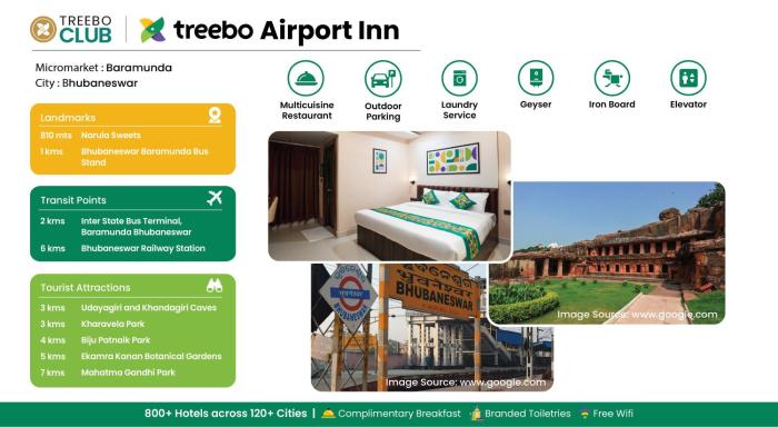 treebo airport inn
