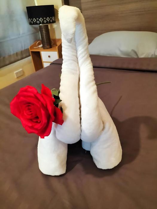 hunter hide pool villa