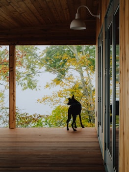prospect berkshires