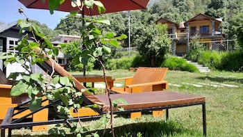 the wild planet treehouses and cottages