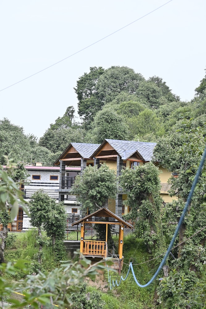 the wild planet treehouses and cottages