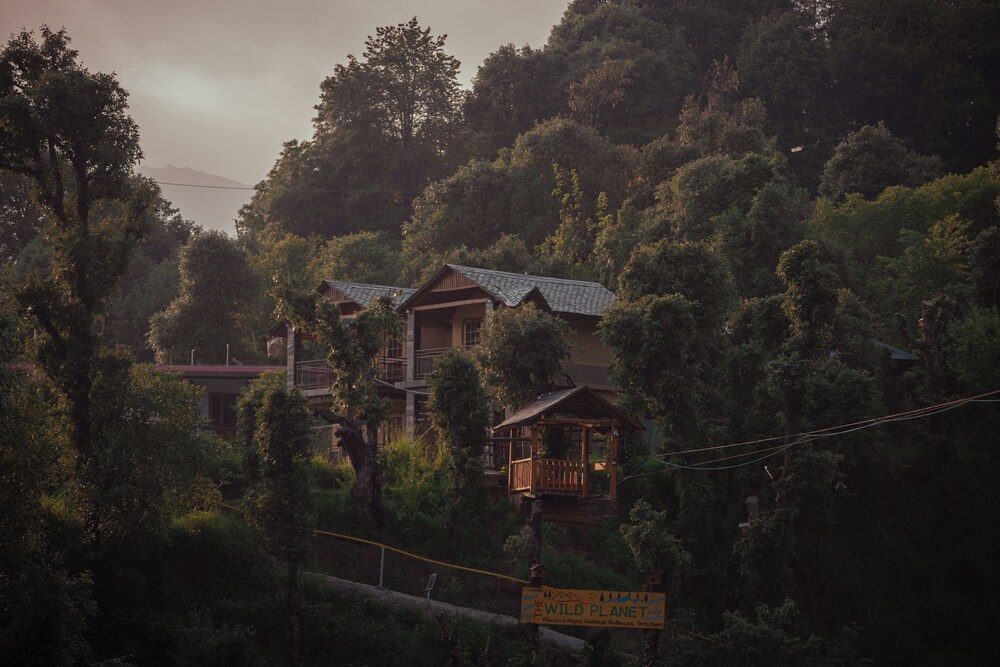 the wild planet treehouses and cottages