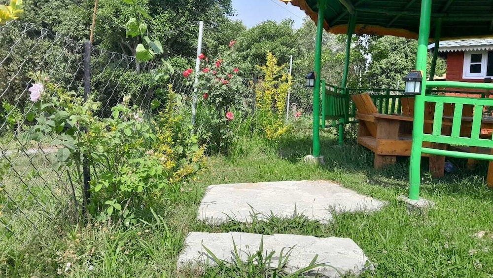 the wild planet treehouses and cottages