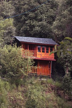 the wild planet treehouses and cottages