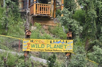 the wild planet treehouses and cottages
