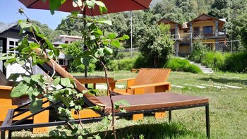 the wild planet treehouses and cottages