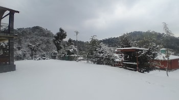the wild planet treehouses and cottages