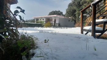 the wild planet treehouses and cottages