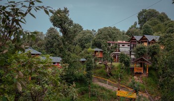 the wild planet treehouses and cottages