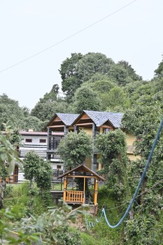 the wild planet treehouses and cottages